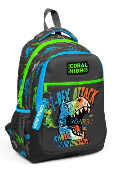 Coral High Kids Gri Dinozor Desenli Üç Bölmeli Okul Sırt Çantası 23482 