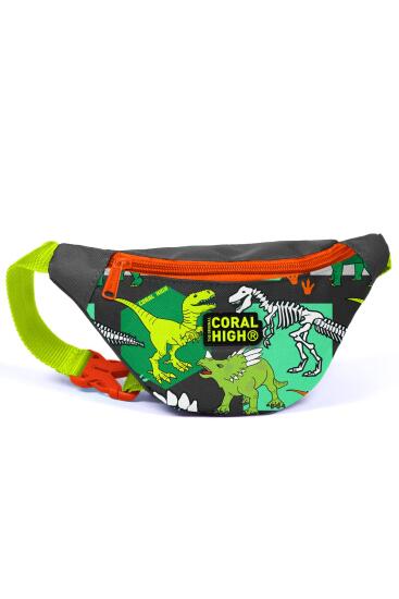 Coral High Kids Gri Yeşil Dinozor Desenli Bel Çantası 12630 - Coral High KIDS