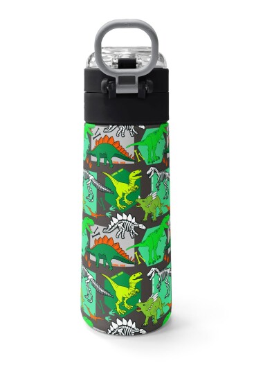 Coral High Kids Gri Yeşil Dinozor Desenli Pipetli ve Direkt İçim Çelik Termos 500 ml 31976 - 4