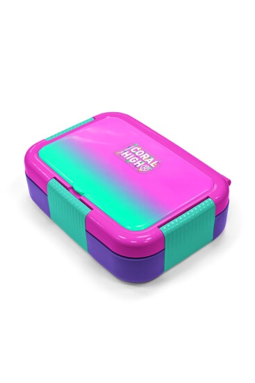 Coral High Kids Pembe Su Yeşili Renk Geçişli Desenli Paslanmaz Çelik Beslenme Kabı 39362 - 2