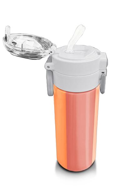 Coral High Kids Renkli Çizgili Desenli Pipetli ve Direkt İçim Çelik Termos 500 ml 31880 - 5