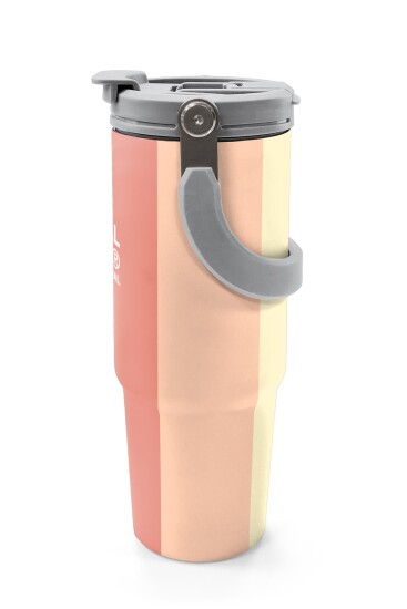 Coral High Renkli Çizgili Desenli Pipetli ve Direkt İçim Çelik Termos 900 ml 38746 - 5